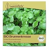 Samenliebe BIO Brunnenkresse Samen alte Sorte Echte Brunnenkresse Wasserkresse Wildkräuter grün 1500 Samen samenfestes Kräuter Saatgut für Küche indoor und Balkon Garten BIO Kräutersamen winterhart