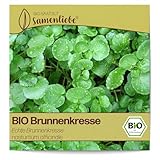 Samenliebe BIO Brunnenkresse Samen alte Sorte Echte Brunnenkresse Wasserkresse Wildkräuter grün 1500 Samen samenfestes Kräuter Saatgut für Küche indoor und Balkon Garten BIO Kräutersamen winterhart