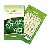 Bärlauch Waldknoblauch Samen - Allium ursinum - Bärlauchsamen - Kräutersamen - Saatgut für 20 Pflanzen