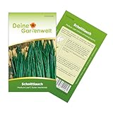 Schnittlauch Medium Leaf Samen - Allium schoenoprasum - Schnittlauchsamen - Kräutersamen - Saatgut für 300 Pflanzen